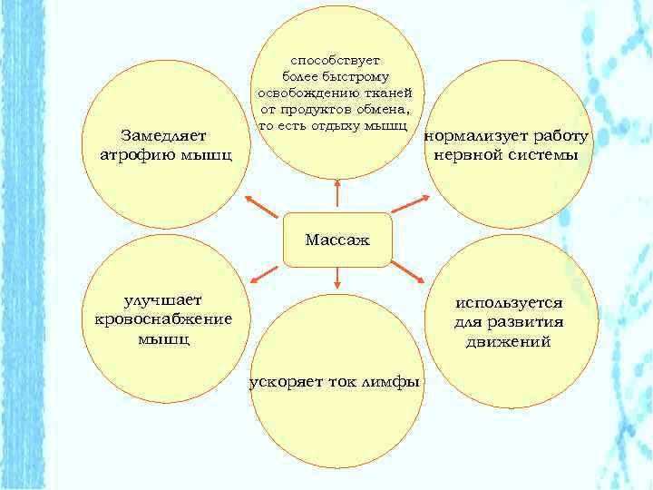 Замедляет атрофию мышц способствует более быстрому освобождению тканей от продуктов обмена, то есть отдыху