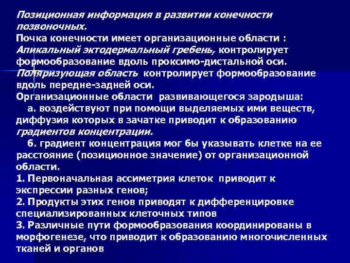 Позиционная информация в развитии конечности позвоночных. Почка конечности имеет организационные области : Апикальный эктодермальный