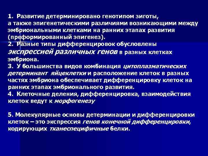 1. Развитие детерминировано генотипом зиготы, а также эпигенетическими различиями возникающими между эмбриональными клетками на