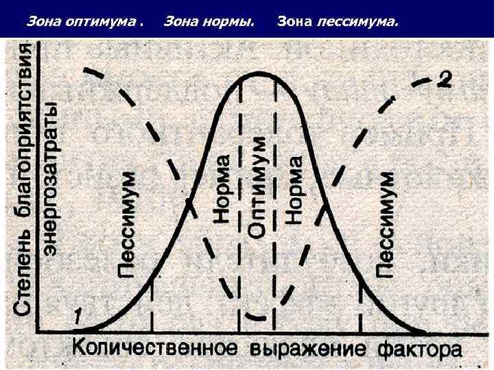 Зона оптимума. Зона оптимума и пессимума. Оптимум и пессимум экология. Зона оптимума зона пессимума. Закономерность оптимума и пессимума.