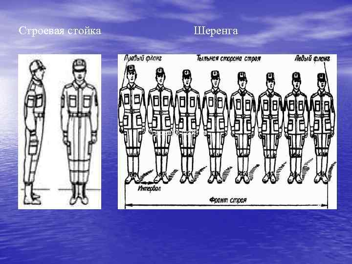 Строевая стойка Шеренга Строевая стойка 