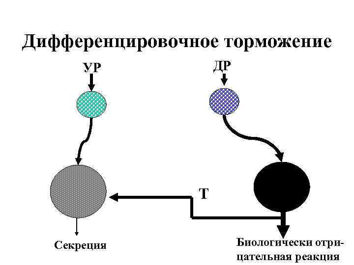 Нарисуйте схему развития запредельного торможения