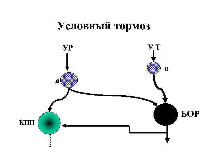 Условный тормоз УР УТ а а КПП БОР 