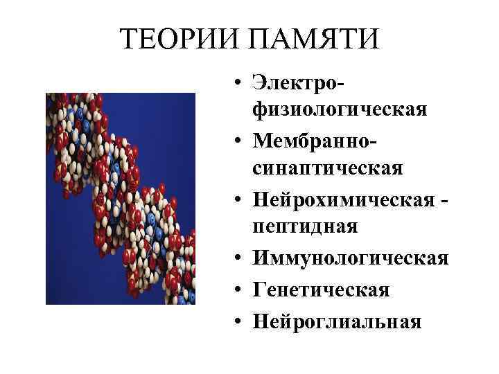 ТЕОРИИ ПАМЯТИ • Электрофизиологическая • Мембранносинаптическая • Нейрохимическая пептидная • Иммунологическая • Генетическая •