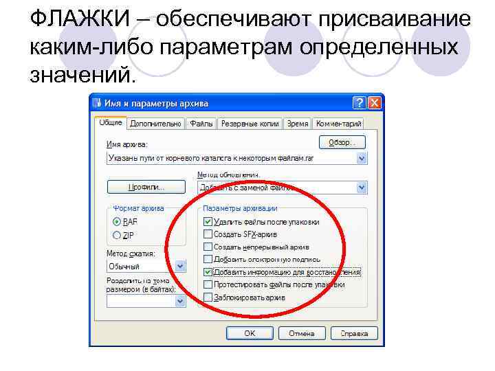 ФЛАЖКИ – обеспечивают присваивание каким-либо параметрам определенных значений. 