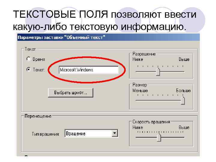 ТЕКСТОВЫЕ ПОЛЯ позволяют ввести какую-либо текстовую информацию. 