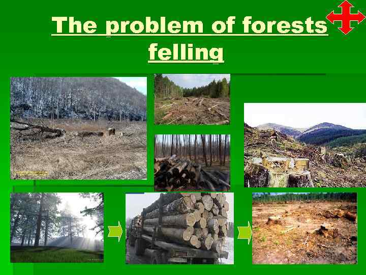 The problem of forests felling 