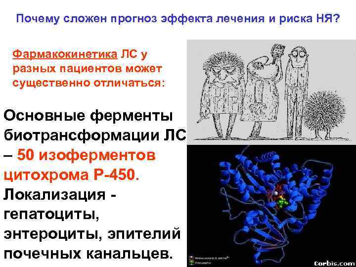 Почему сложен прогноз эффекта лечения и риска НЯ? Фармакокинетика ЛС у разных пациентов может