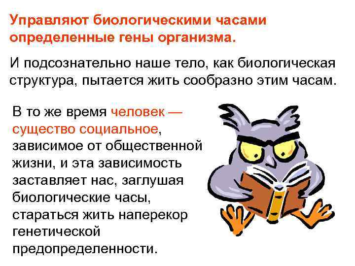 Управляют биологическими часами определенные гены организма. И подсознательно наше тело, как биологическая структура, пытается