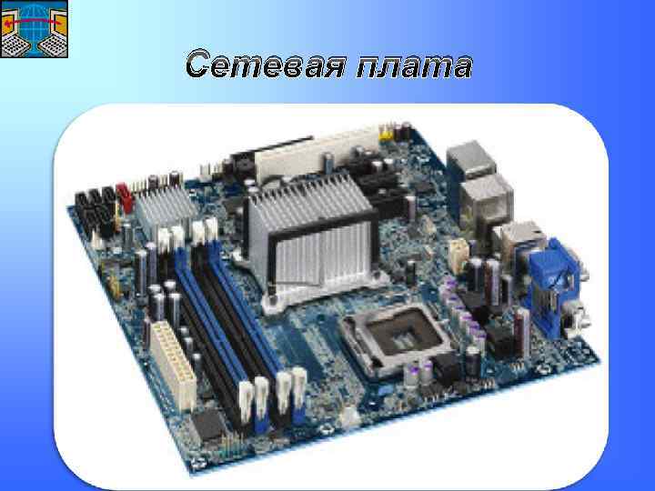 Сетевая плата 