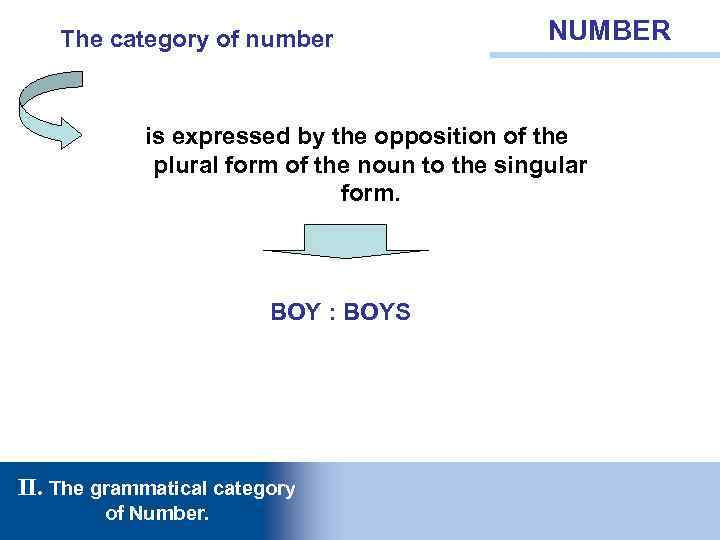 The category of number NUMBER is expressed by the opposition of the plural form