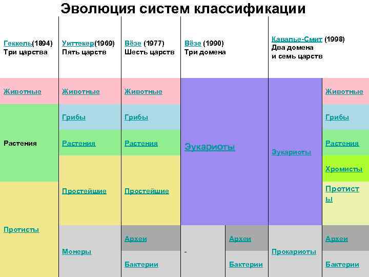 Система эволюции. Кавалье Смит систематика. Классификация эволюции. Эволюция системы. Эволюционная классификация.