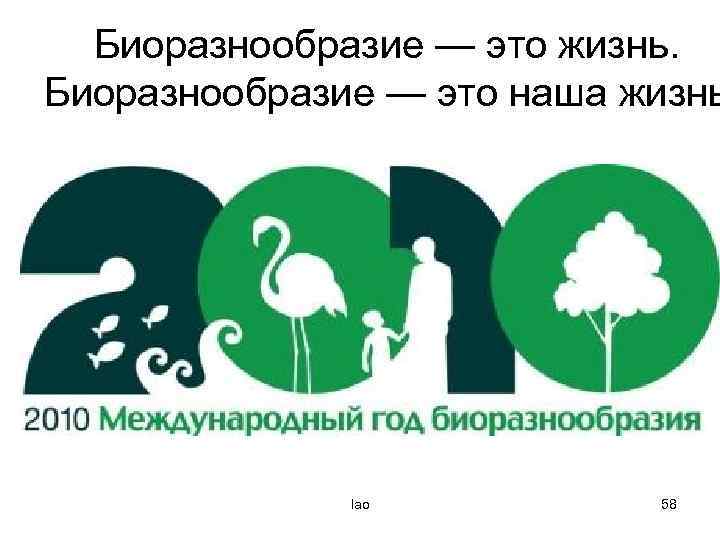 Биоразнообразие — это жизнь. Биоразнообразие — это наша жизнь lao 58 