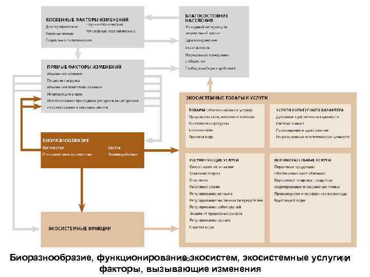 Биоразнообразие, функционирование экосистем, экосистемные услуги и lao 60 факторы, вызывающие изменения 