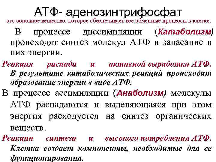 АТФ- аденозинтрифосфат это основное вещество, которое обеспечивает все обменные процессы в клетке. В процессе