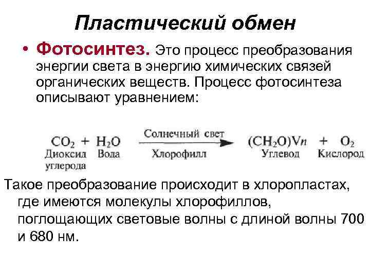 Обмен веществ и превращение энергии в клетке фотосинтез презентация