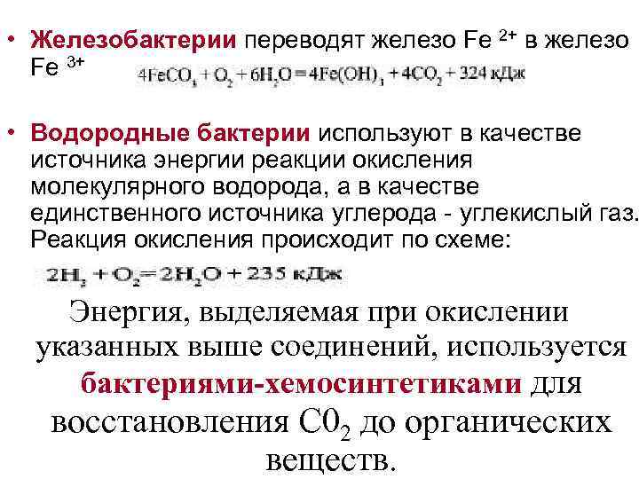  • Железобактерии переводят железо Fe 2+ в железо Fe 3+ • Водородные бактерии