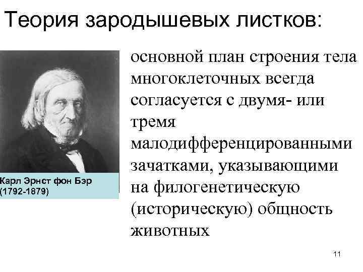Теория зародышевых листков: основной план строения тела многоклеточных всегда согласуется с двумя- или тремя