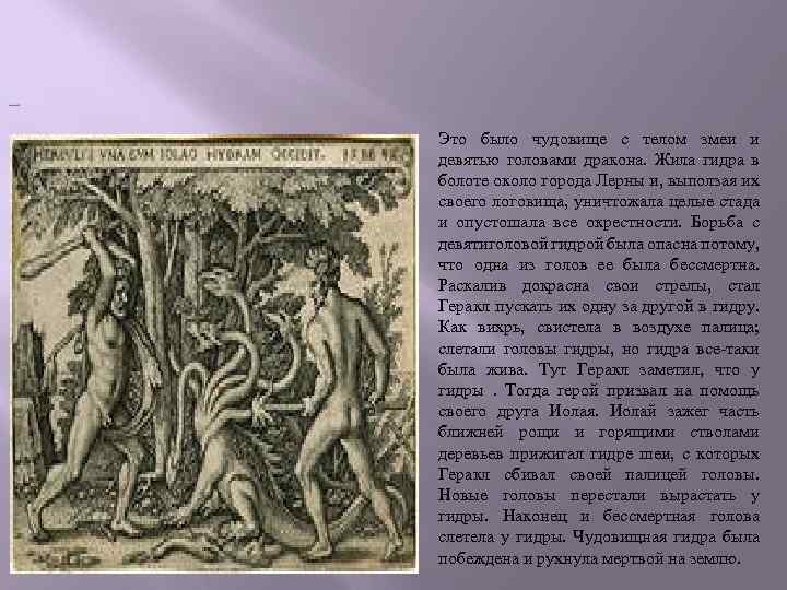  Это было чудовище с телом змеи и девятью головами дракона. Жила гидра в