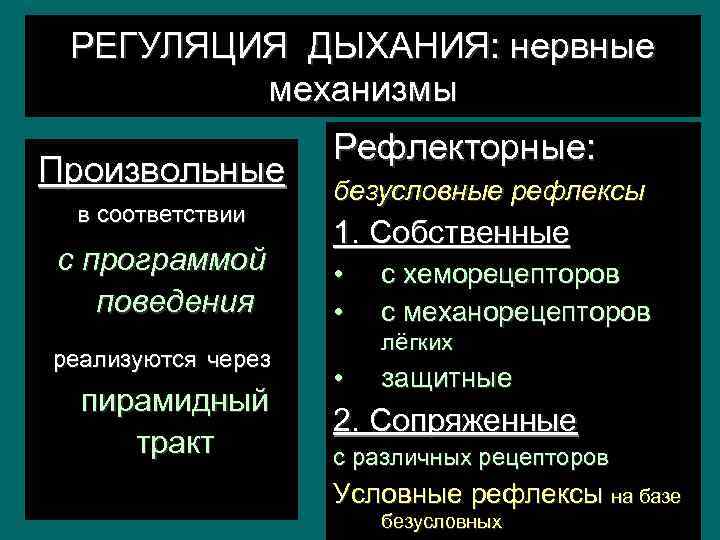 РЕГУЛЯЦИЯ ДЫХАНИЯ: нервные механизмы Произвольные в соответствии с программой поведения реализуются через пирамидный тракт