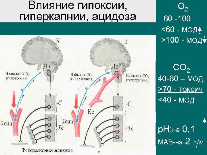 Влияние гипоксии, гиперкапнии, ацидоза О 2 60 -100 <60 - МОД >100 - МОД