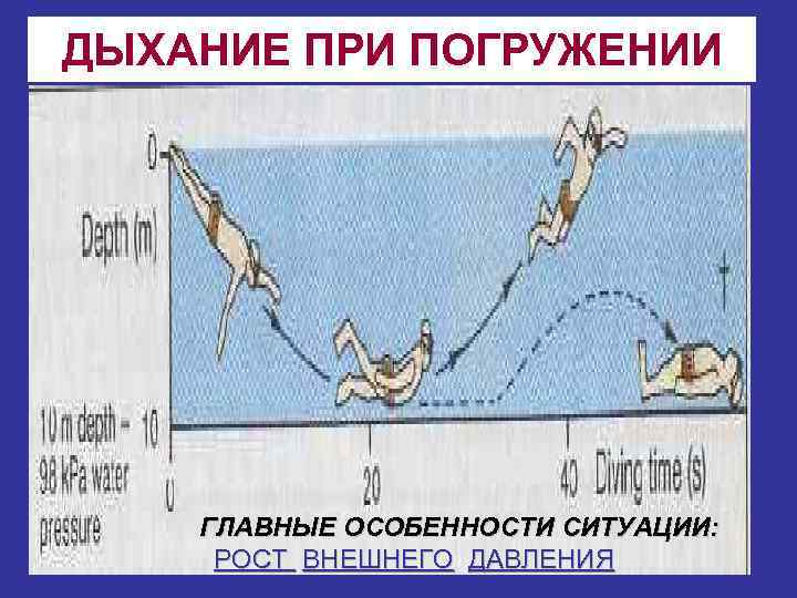 ДЫХАНИЕ ПРИ ПОГРУЖЕНИИ ГЛАВНЫЕ ОСОБЕННОСТИ СИТУАЦИИ: РОСТ ВНЕШНЕГО ДАВЛЕНИЯ 