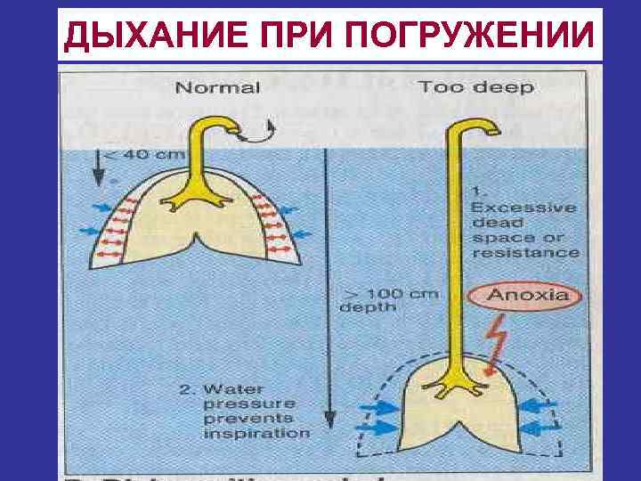 ДЫХАНИЕ ПРИ ПОГРУЖЕНИИ 