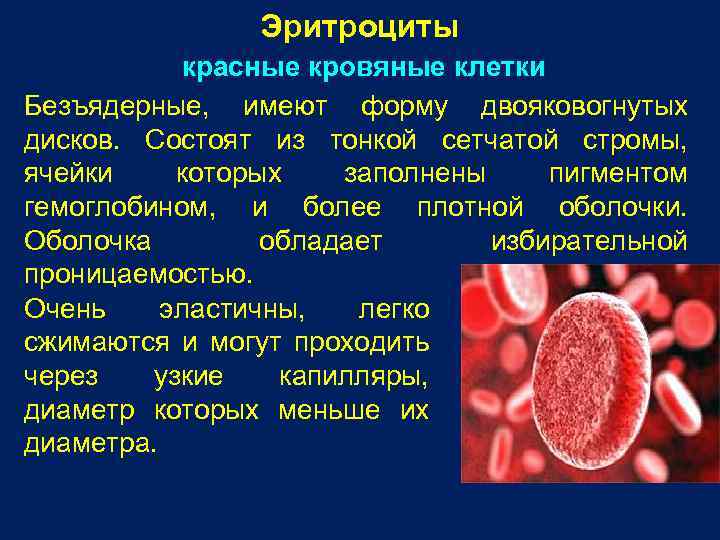 Эритроциты имеют форму. Эритроциты безъядерные клетки. Эритроциты красные безъядерные клетки. Красная кровяная клетка (Безъядерная). Строма эритроцита.