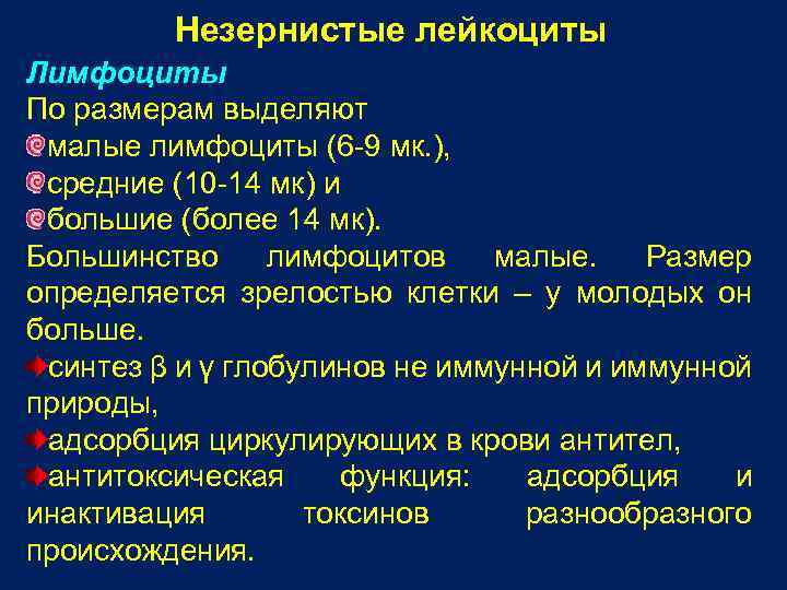 Незернистые лейкоциты Лимфоциты По размерам выделяют малые лимфоциты (6 -9 мк. ), средние (10