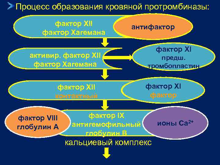 Фактор 11