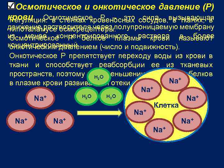 Осмотическое и онкотическое давление (Р) крови. Осмотическое Р – это сосудов, вызывающая Регуляция: в