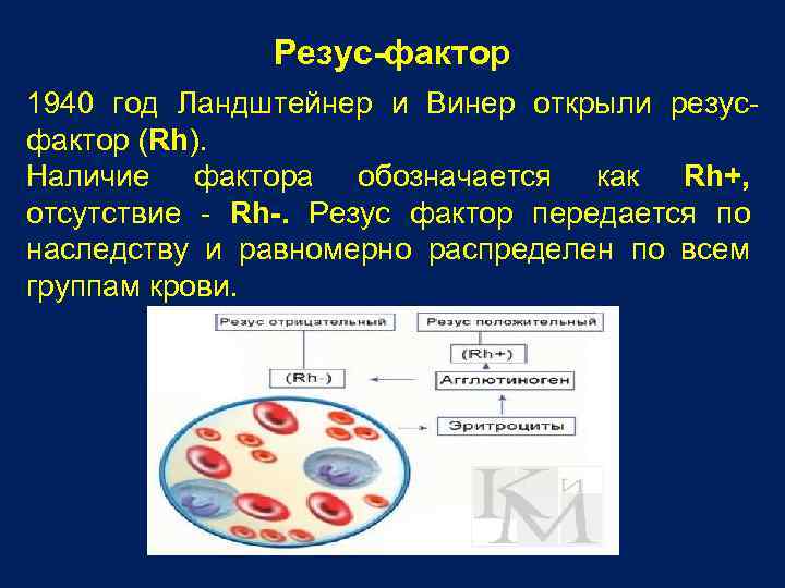 Особенности резус отрицательной крови. Резус-фактор крови.