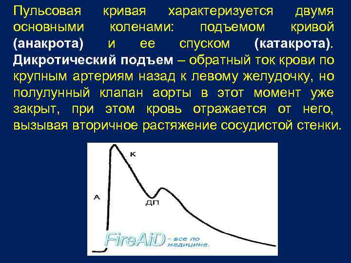 Пульсовая кривая характеризуется двумя основными коленами: подъемом кривой (анакрота) и ее спуском (катакрота). Дикротический