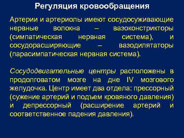Регуляция кровообращения Артерии и артериолы имеют сосудосуживающие нервные волокна – вазоконстрикторы (симпатическая нервная система),