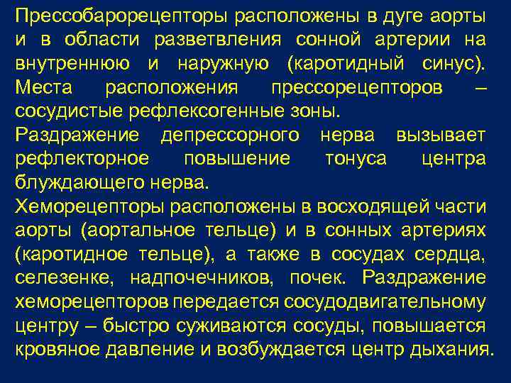 Прессобарорецепторы расположены в дуге аорты и в области разветвления сонной артерии на внутреннюю и