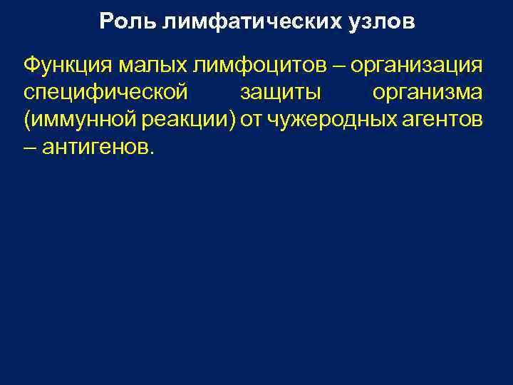 Роль лимфатических узлов Функция малых лимфоцитов – организация специфической защиты организма (иммунной реакции) от