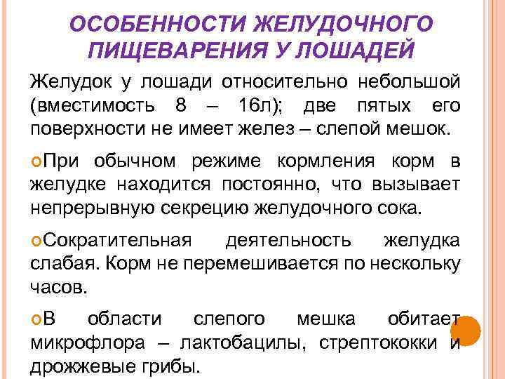 Особенности желудка