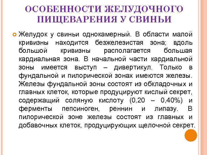 Особенности пищеварения. Особенности пищеварения свиней. Особенности желудочного пищеварения у поросят. Особенности желудочного пищеварения у свиньи. Особенности пищеварения свиней кратко.