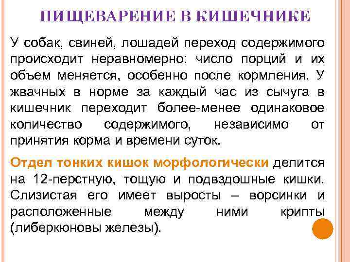 ПИЩЕВАРЕНИЕ В КИШЕЧНИКЕ У собак, свиней, лошадей переход содержимого происходит неравномерно: число порций и