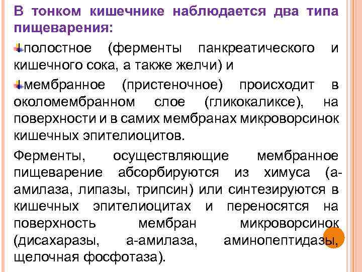 В тонком кишечнике наблюдается два типа пищеварения: полостное (ферменты панкреатического и кишечного сока, а