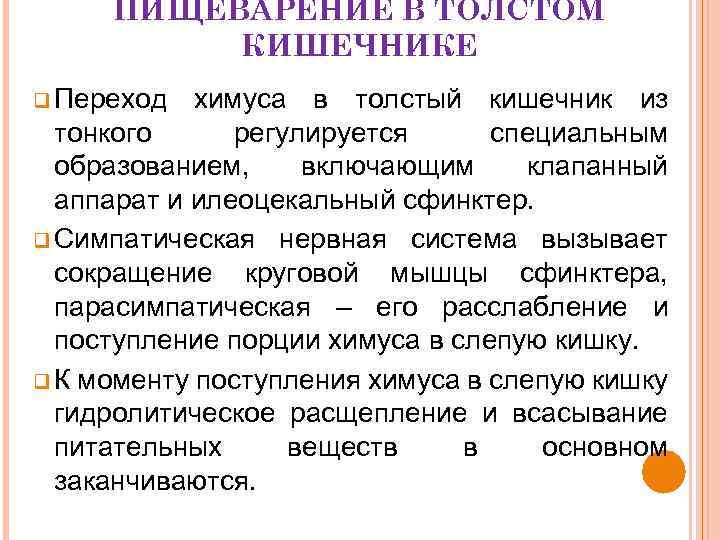 ПИЩЕВАРЕНИЕ В ТОЛСТОМ КИШЕЧНИКЕ q Переход химуса в толстый кишечник из тонкого регулируется специальным
