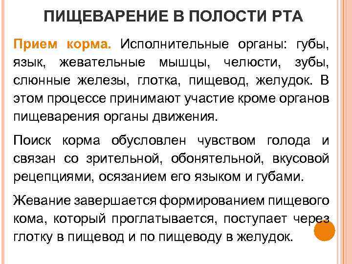 ПИЩЕВАРЕНИЕ В ПОЛОСТИ РТА Прием корма. Исполнительные органы: губы, язык, жевательные мышцы, челюсти, зубы,