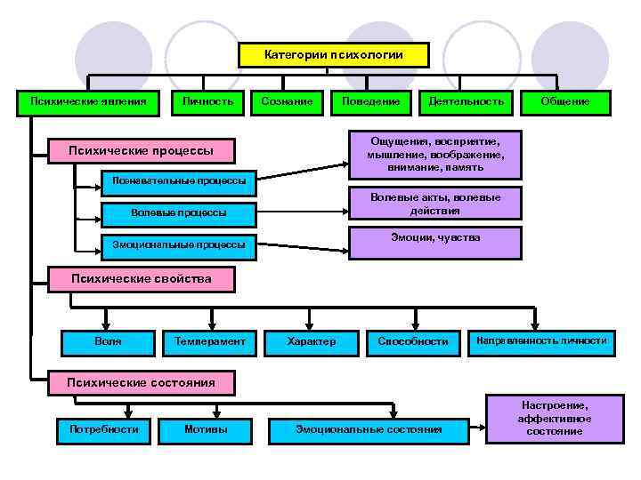 Категории психологов. Основные категории психологии как науки. Основные категории общей психологии. Основные категории психологии личности таблица. Основные категории психологической науки схема.