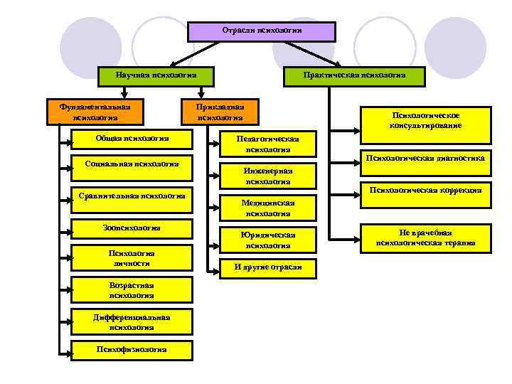 Отрасли психологии Научная психология Фундаментальная психология Общая психология Социальная психология Сравнительная психология Зоопсихология Психология