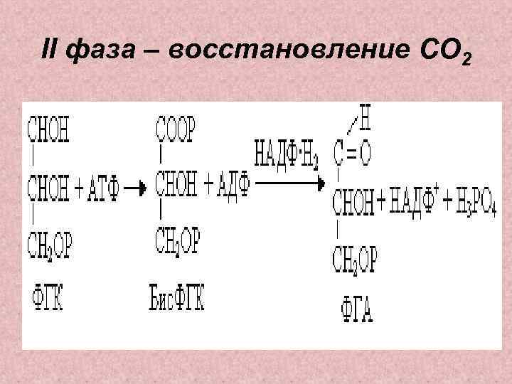 II фаза – восстановление СО 2 