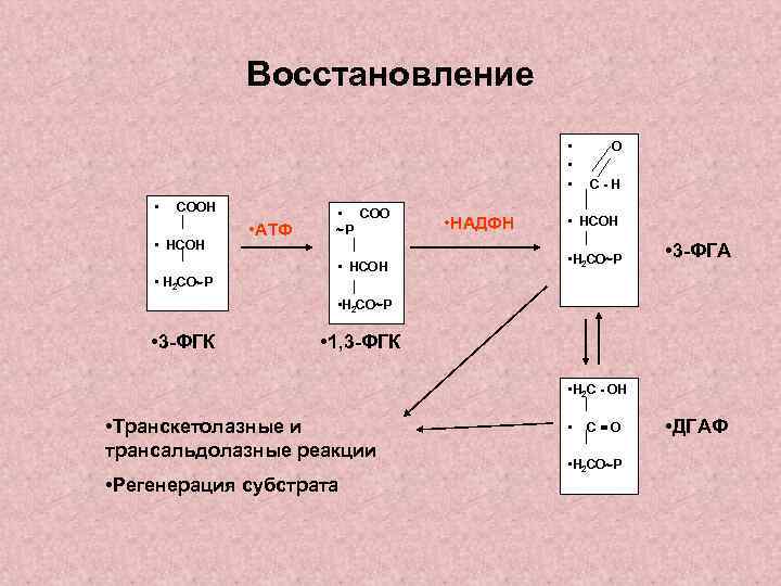Восстановление • • СООН • НСОН • АТФ • СОО Р • НСОН •