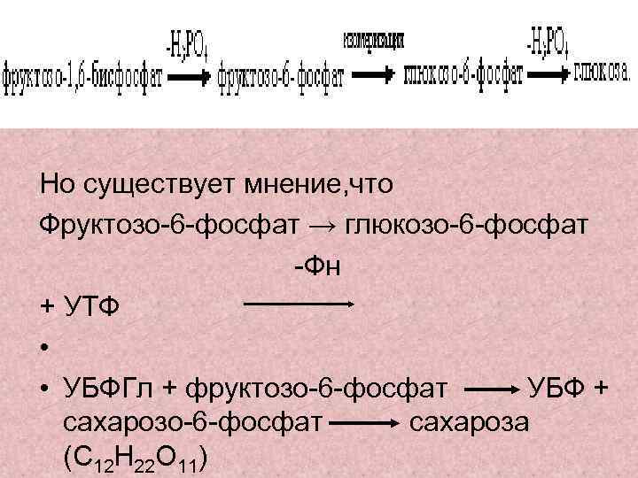 Но существует мнение, что Фруктозо-6 -фосфат → глюкозо-6 -фосфат -Фн + УТФ • •