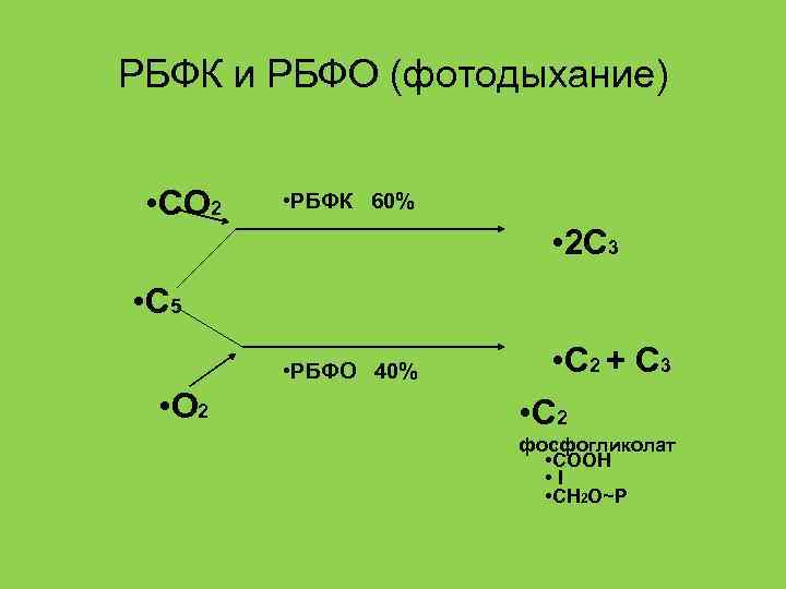 РБФК и РБФО (фотодыхание) • СО 2 • РБФК 60% • 2 С 3