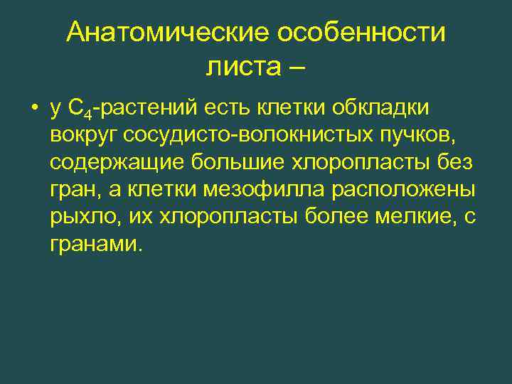 Анатомические особенности листа – • у С 4 -растений есть клетки обкладки вокруг сосудисто-волокнистых