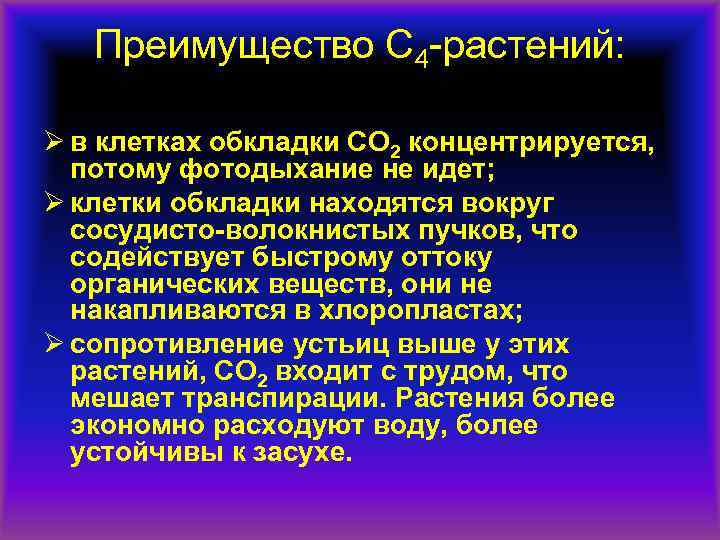 Преимущество С 4 -растений: Ø в клетках обкладки СО 2 концентрируется, потому фотодыхание не